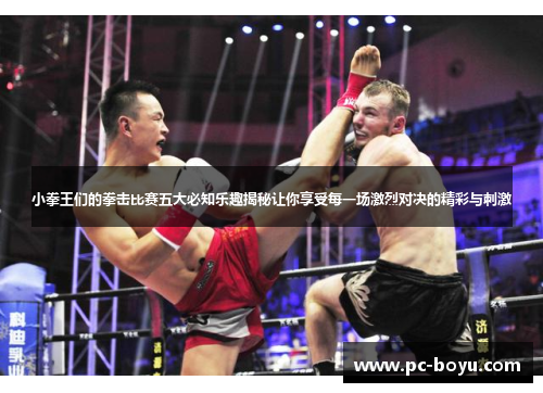 小拳王们的拳击比赛五大必知乐趣揭秘让你享受每一场激烈对决的精彩与刺激