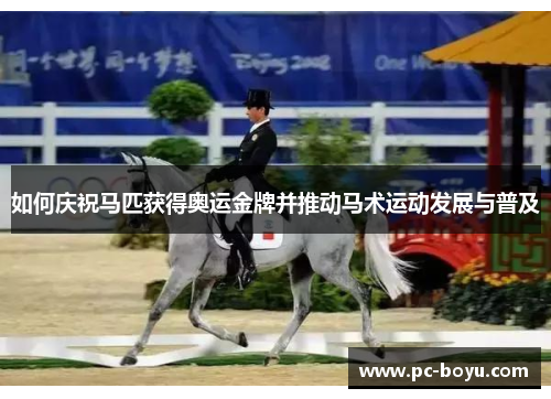 如何庆祝马匹获得奥运金牌并推动马术运动发展与普及