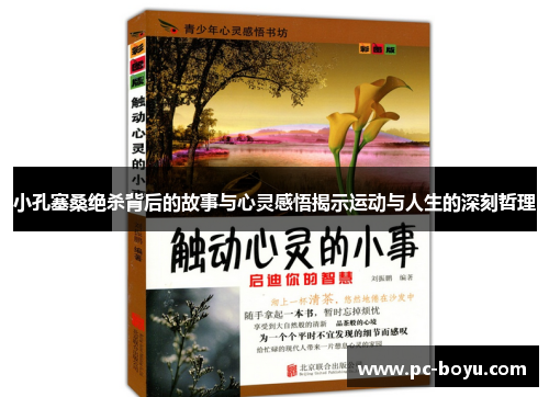 小孔塞桑绝杀背后的故事与心灵感悟揭示运动与人生的深刻哲理